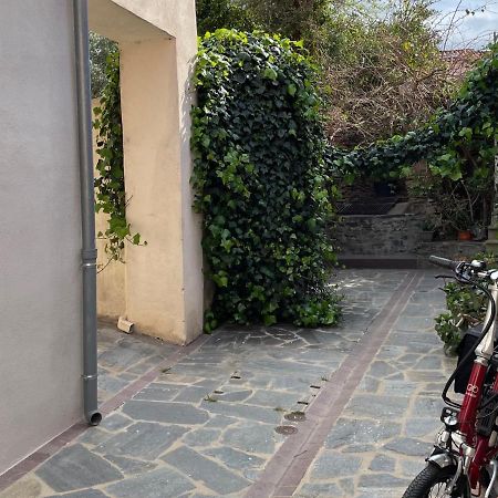 Studio Cabine A Collioure, A 100M De La Plage Et Des Commerces - Fr-1-309-153 Exterior foto