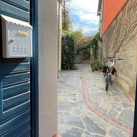 Studio Cabine A Collioure, A 100M De La Plage Et Des Commerces - Fr-1-309-153 Exterior foto